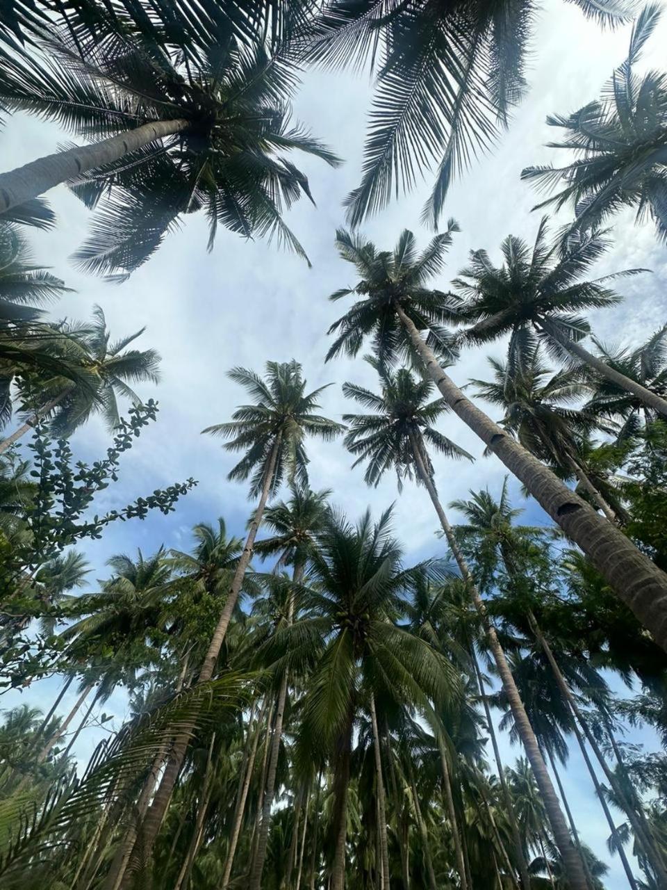 Efrena Agro Tourism Beach El Nido Dış mekan fotoğraf