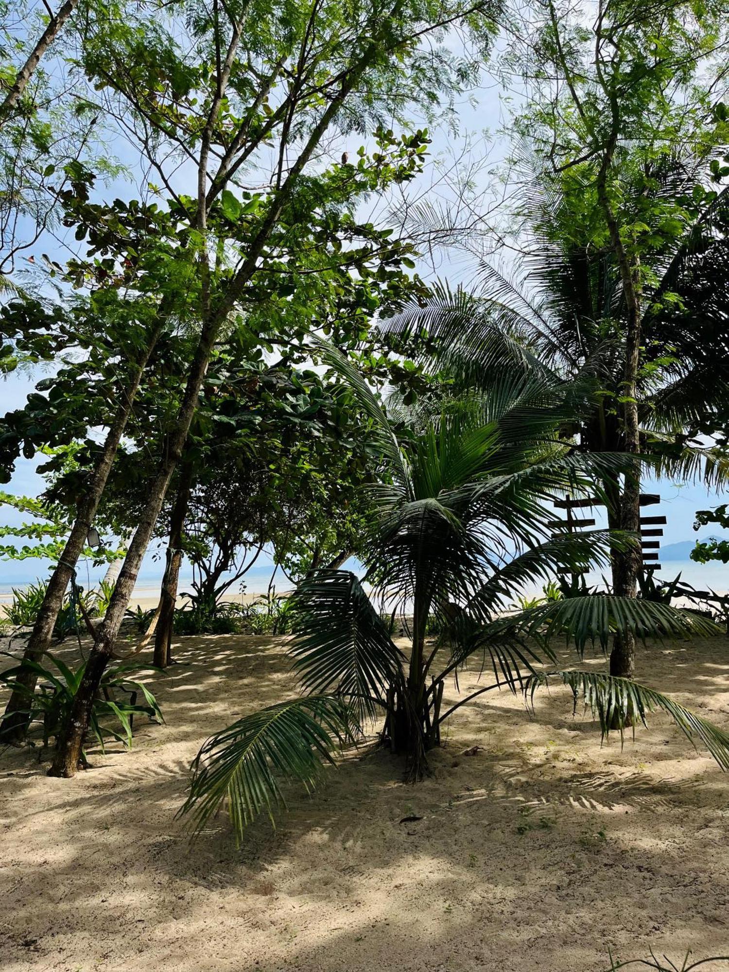Efrena Agro Tourism Beach El Nido Dış mekan fotoğraf