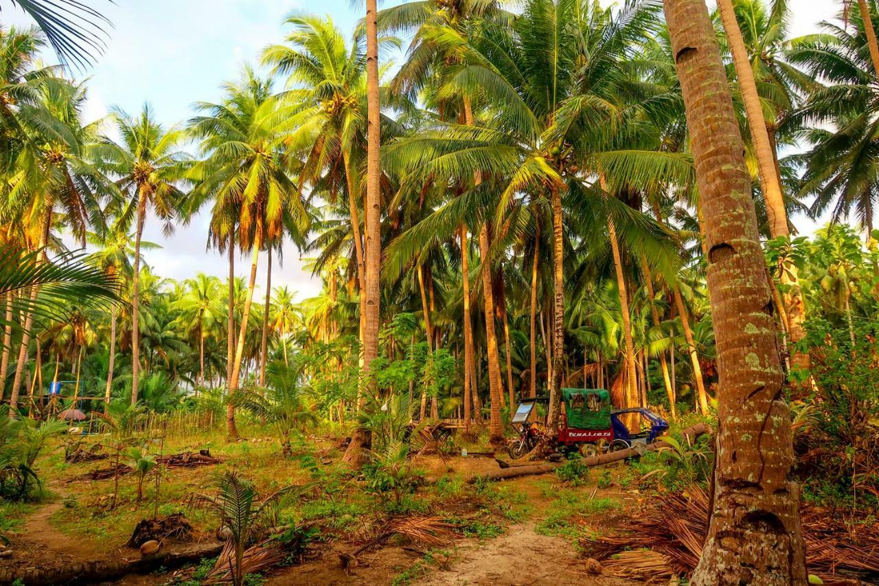 Efrena Agro Tourism Beach El Nido Dış mekan fotoğraf
